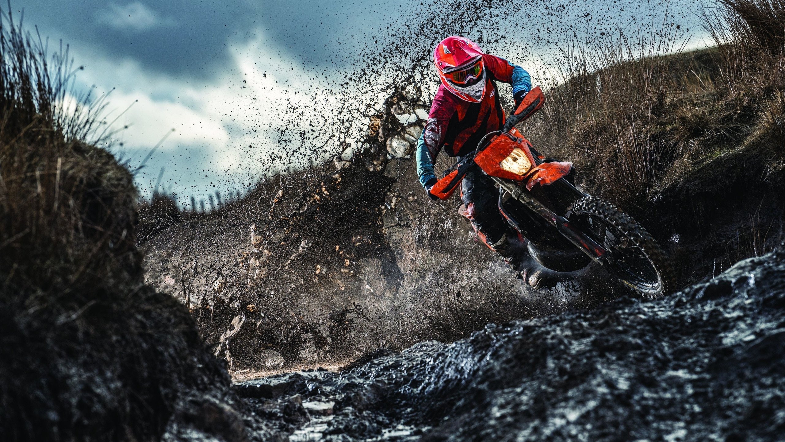 上海队收割灰熊，拉梅洛·鲍尔如何成为跨洋篮球的关键先生